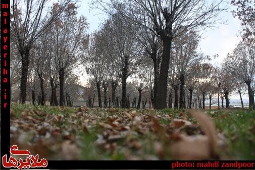 جامانده‌های پاییز در زمستان