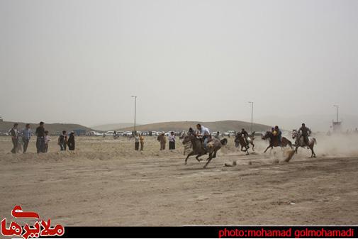 مسابقات کورس بهاره اسب دوانی استان همدان برگزار شد/تصاویر/محمد گل محمدی