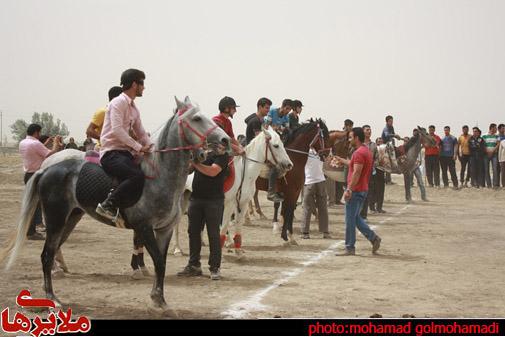 مسابقات کورس بهاره اسب دوانی استان همدان برگزار شد/تصاویر/محمد گل محمدی