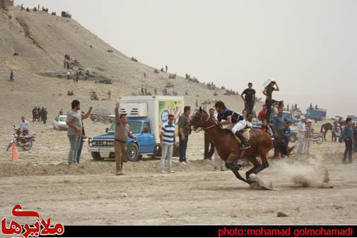 مسابقات کورس بهاره اسب دوانی استان همدان برگزار شد/تصاویر/محمد گل محمدی